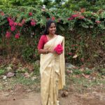 Noorangi (saree)- Beige