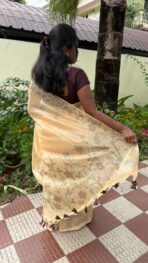 Muga silk cotton (saree) - Ivory - Image 2
