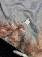 Neyssa (saree) - Dreamy grey