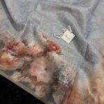 Neyssa (saree) - Dreamy grey