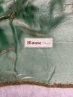 NoorPatta (Space silk saree) - Pistachio green - Image 3