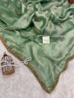 NoorPatta (Space silk saree) - Pistachio green