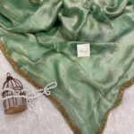 NoorPatta (Space silk saree) - Pistachio green