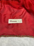 NoorPatta (Space silk saree) - Red - Image 3