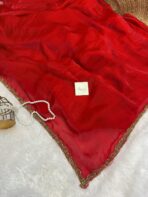 NoorPatta (Space silk saree) - Red