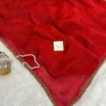 NoorPatta (Space silk saree) - Red