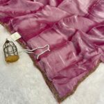 NoorPatta (Space silk saree) - Salmon