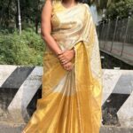 Sundrop & Moonbeam (Tissue silk)